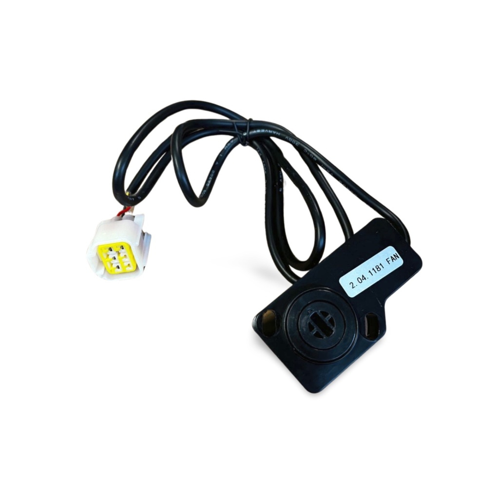 Electric Accelerator